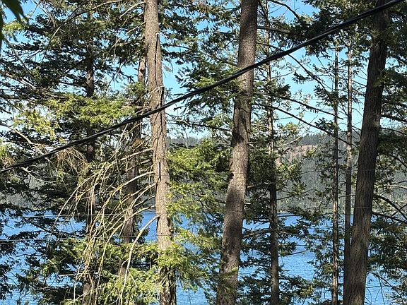 3rd image of 307 Rocky Point Loop Rd