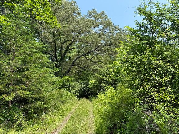 3rd image of 295 County Road 296