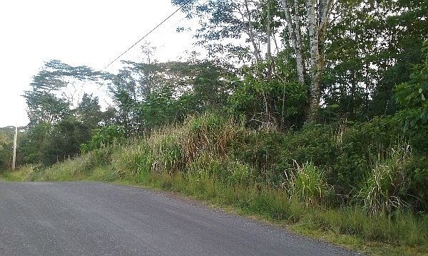 1st image of 19th Ave Lot 142