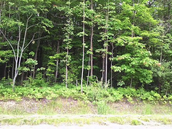 5th image of Blue Star Hwy