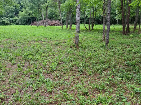 99 Jackson Rd, Manchester, KY 40962
