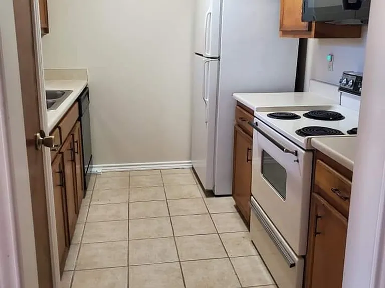 346 Lake Placid Dr — Photo 3