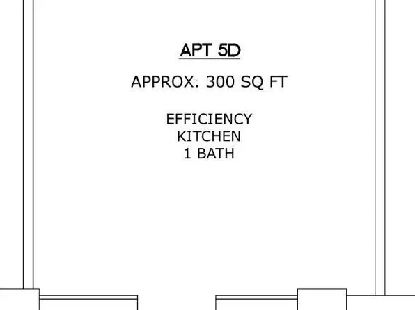 NorthMain203- Deavers Alley, 203 N Main St #5D, Lexington, VA 24450