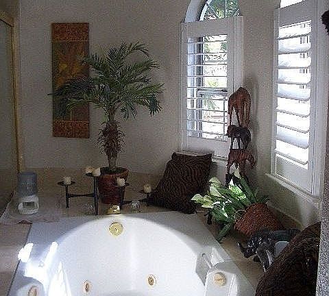 Jacuzzi Tub in Master Bathroom
