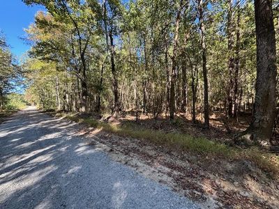 0 Lullwater Rd, Eutawville, SC, 29048