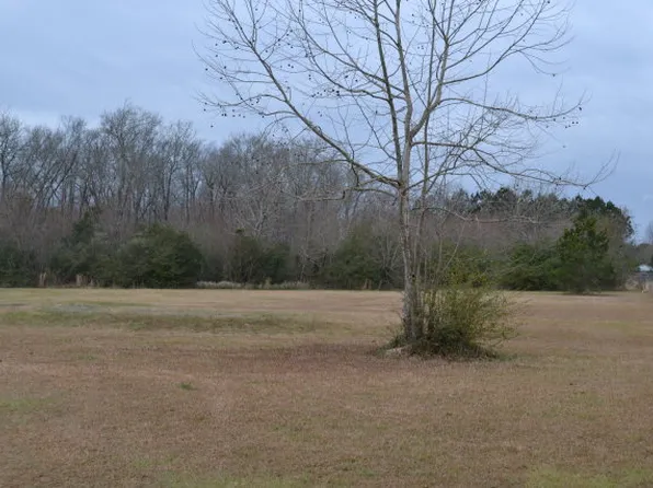 11789 Breman Rd, Elberta, AL 36530