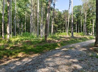 1080 Holt Rd, Ellijay, GA 30536