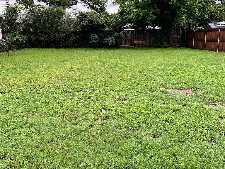 Norwood Dr — Photo 12
