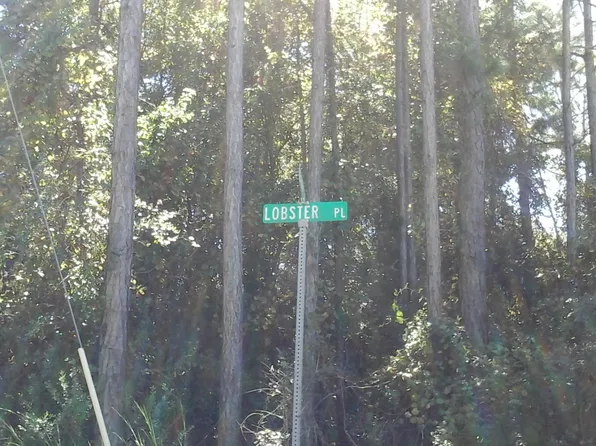 104 Lobster Pl, Palatka, FL 32177