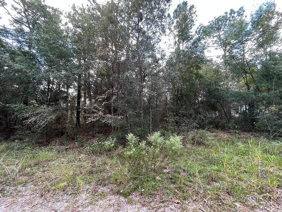 1st image of 6295 Bowdoin Avenue