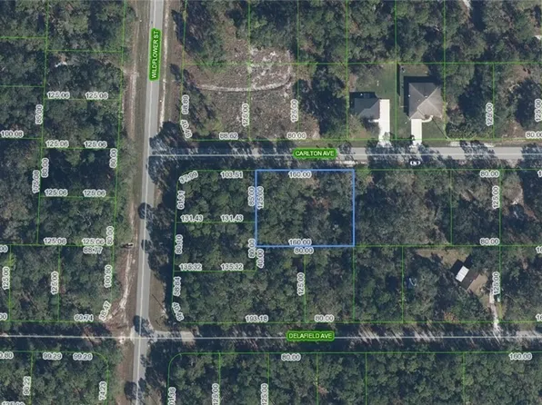3154 Carlton Ave, Lake Placid, FL 33852