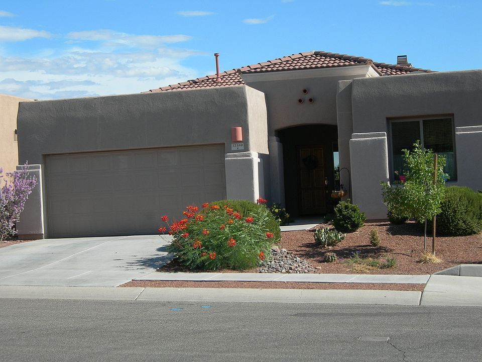 Lush desert landscaping 
