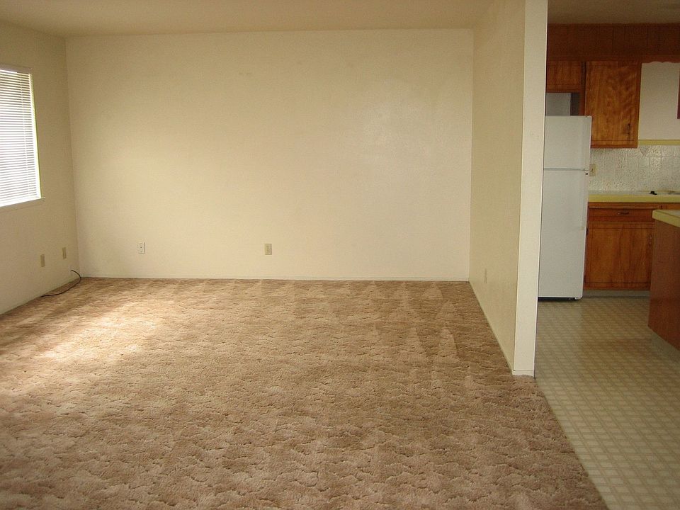 Living room, kitchen