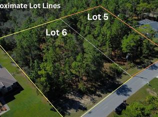 5 Flock Ave, Brooksville, FL 34613