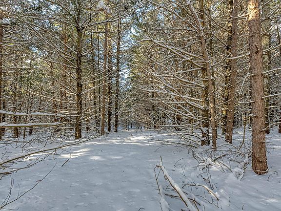 3rd image of Off Hwy #45-3