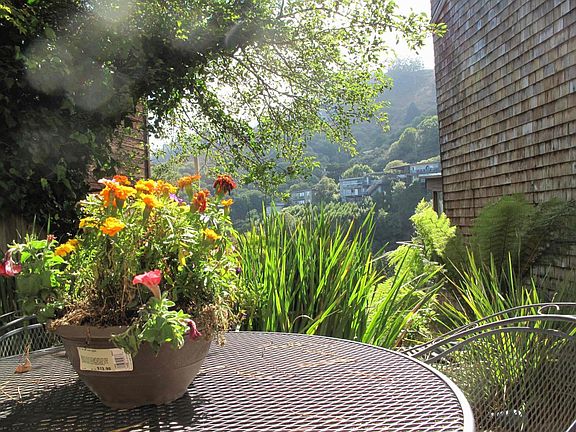 First patio