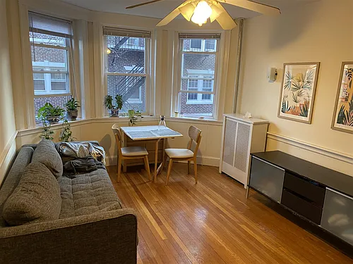13 Ellery St #1 Photo 1