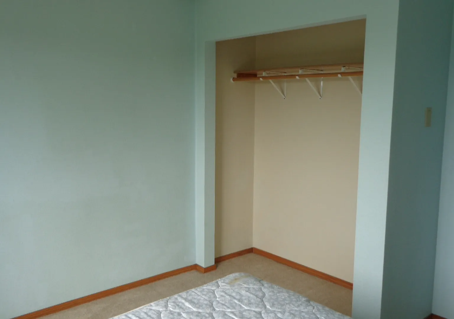 1 bed, 800 sqft, $660 — Photo 4