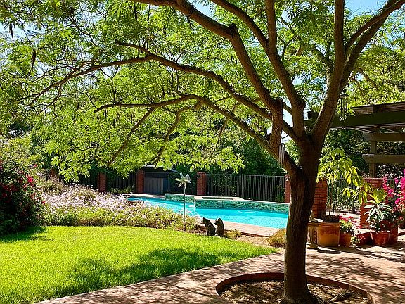 View from the living room