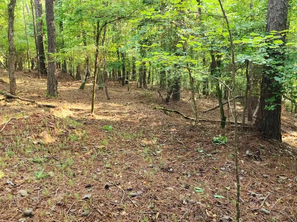 4972 County Road 804 #2A, Wedowee, AL 36278