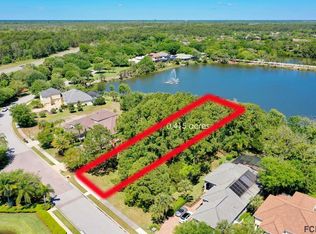 3 Emerald Lake Ct, Palm Coast, FL 32137