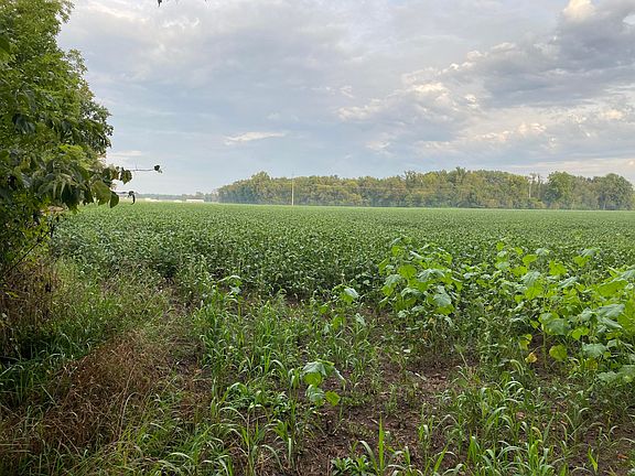 4th image of Copeland Rd #2
