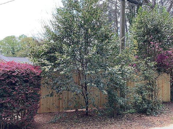 3rd image of 410 Plantation Dr