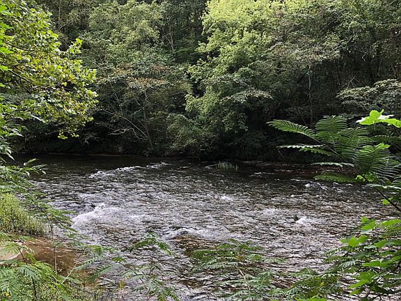 4th image of Old Walland Hwy