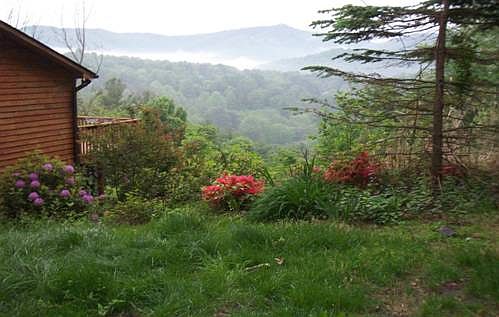 view