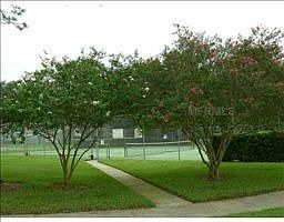 3rd image of 11841 Wildeflower Pl