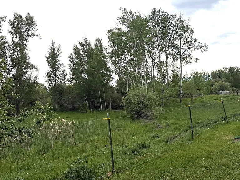 675 Auction Rd — Photo 3
