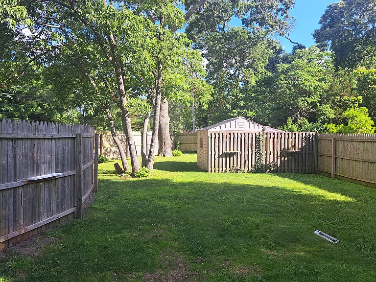 Back yard
