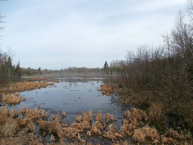 2nd image of ON Nicolet Rd