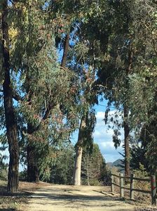 2560 Huasna Rd, Arroyo Grande, CA, 93420