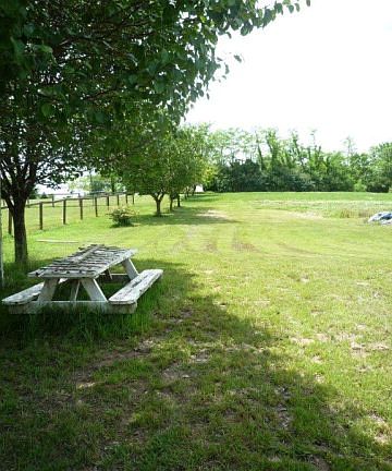 2nd image of 2152 Todd Ln