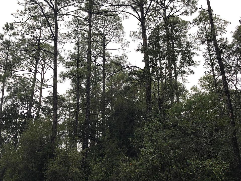 2nd image of 34 E Point Washington Rd
