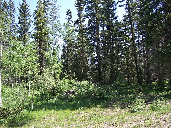 4th image of Tbd Divide Rd