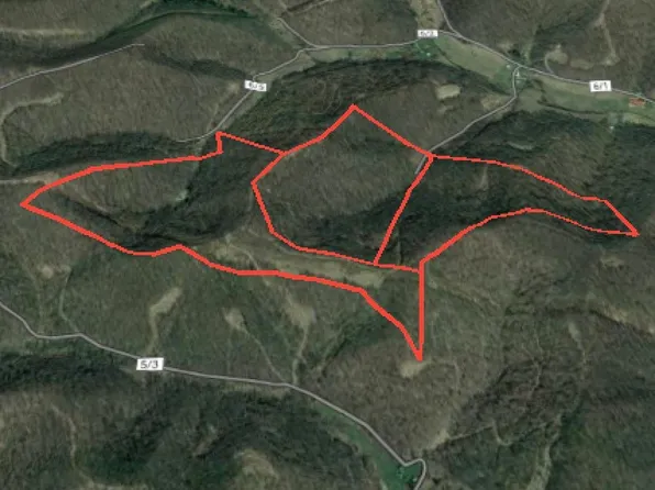 Earl Run Rd, Metz, WV 26585