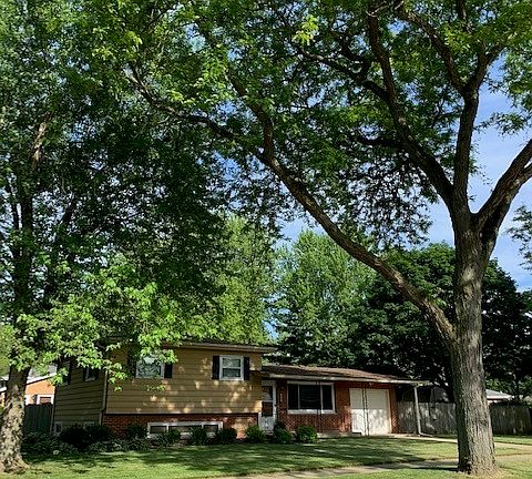 4th image of 1231 Indian Dr