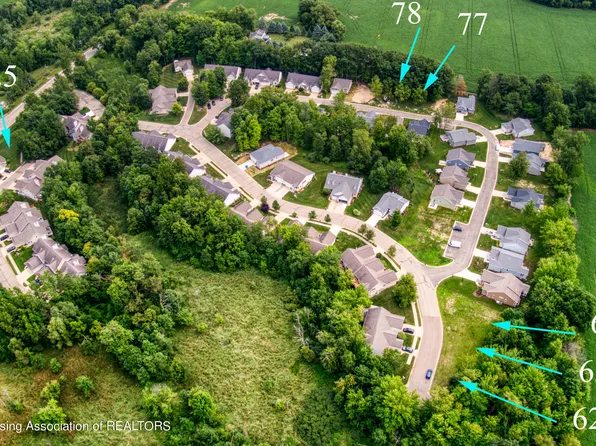 1532 Lytell Johnes Path #77, Williamston, MI 48895