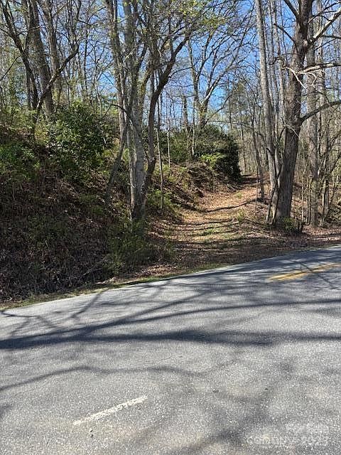 2nd image of 0 E Fork Rd