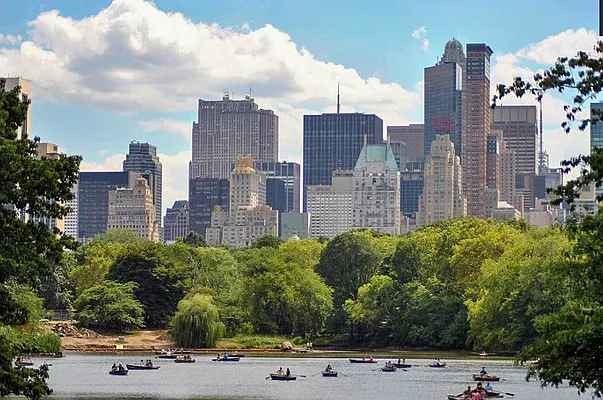 Rented by Douglas Elliman | media 7