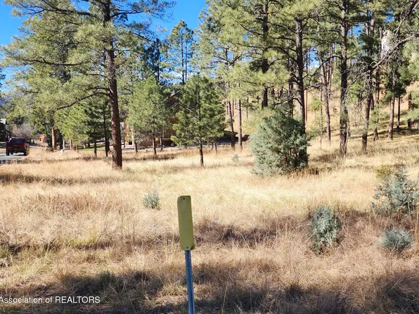 604 White Mountain Meadows Dr, Ruidoso, NM 88345