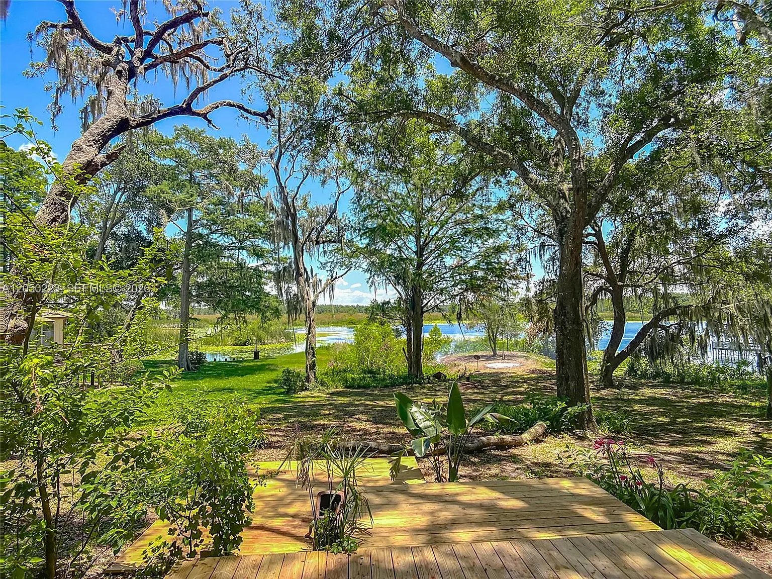 Lake Shore — Photo 2