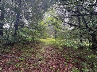 123 Seven Pines Dr, Chestnutridge, MO 65630