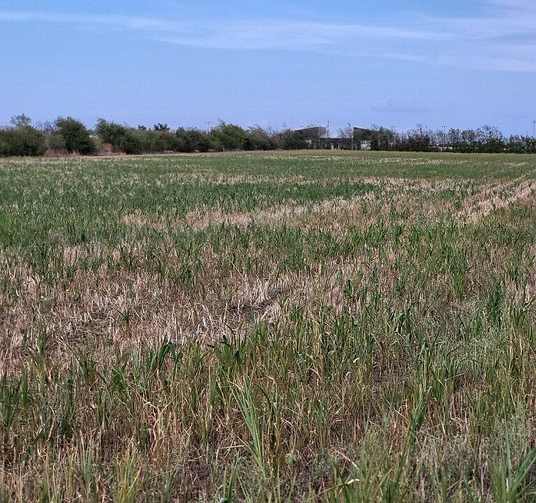 1st image of 1701 W Fm 487