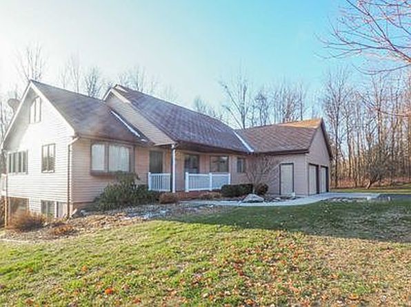 11125 Edgewood Rd, Bellevue, MI 49021