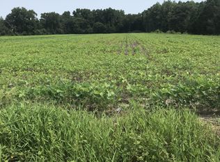 311 Center Hill Rd, Tyner, NC 27980