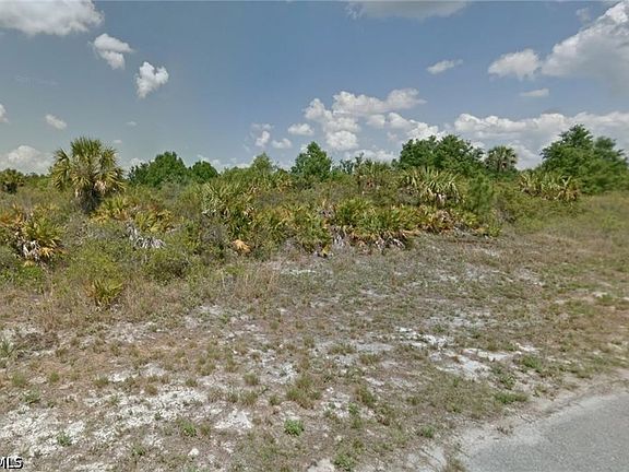 2nd image of Mangrove Ave