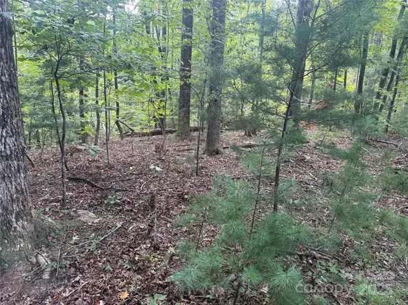 Forest Country Dr #66, Marion, NC 28752